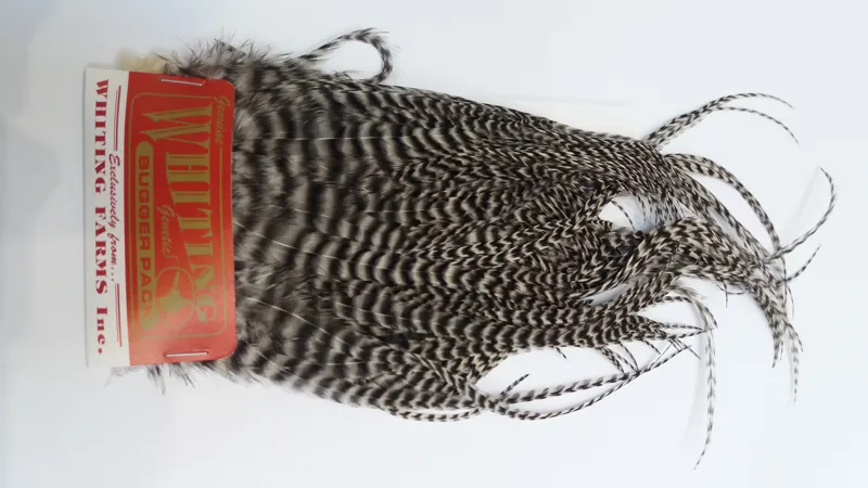 Whiting Bugger Pack in Grizzly-1